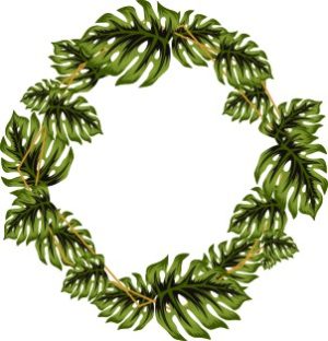 Vector Khung Viền Hoa, Khung Hoa Văn (39)