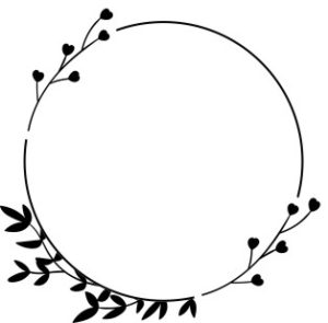 Vector Khung Viền Hoa, Khung Hoa Văn (4)