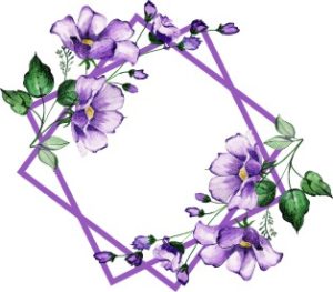 Vector Khung Viền Hoa, Khung Hoa Văn (54)