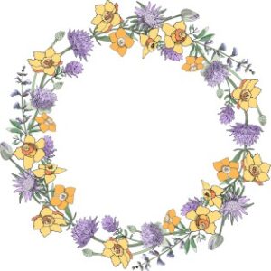 Vector Khung Viền Hoa, Khung Hoa Văn (67)