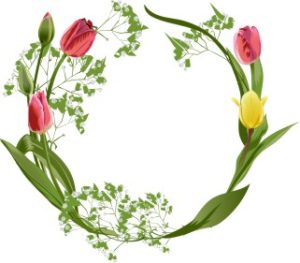 Vector Khung Viền Hoa, Khung Hoa Văn (89)