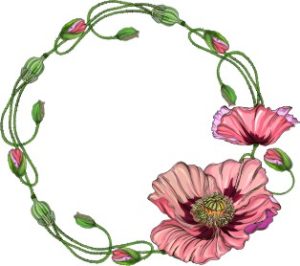 Vector Khung Viền Hoa, Khung Hoa Văn (93)