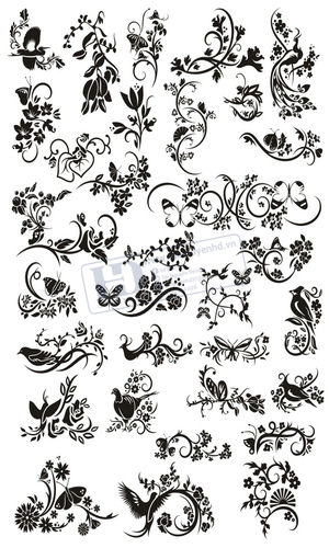 Vector Khung Viền Hoa Văn, Hoa Góc (6)