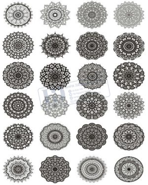 Vector Khung Viền Hoa Văn, Hoa Góc, Đường Viền (200)