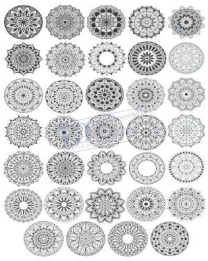 Vector Khung Viền Hoa Văn, Hoa Góc, Đường Viền (205)