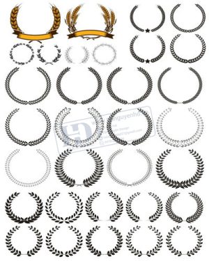 Vector Khung Viền Hoa Văn, Hoa Góc, Đường Viền (206)