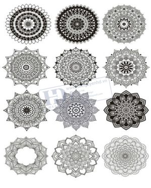 Vector Khung Viền Hoa Văn, Hoa Góc, Đường Viền (291)