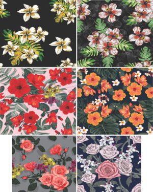 Vector Khung Viền Hoa Văn, Hoa Góc, Đường Viền (323)