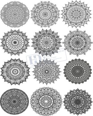 Vector Khung Viền Hoa Văn, Hoa Góc, Đường Viền (358)