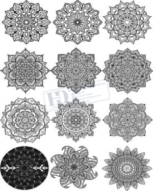 Vector Khung Viền Hoa Văn, Hoa Góc, Đường Viền (471)