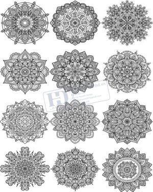 Vector Khung Viền Hoa Văn, Hoa Góc, Đường Viền (473)