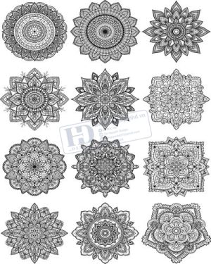 Vector Khung Viền Hoa Văn, Hoa Góc, Đường Viền (474)