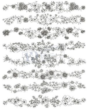 Vector Khung Viền Hoa Văn, Hoa Góc, Đường Viền (64)