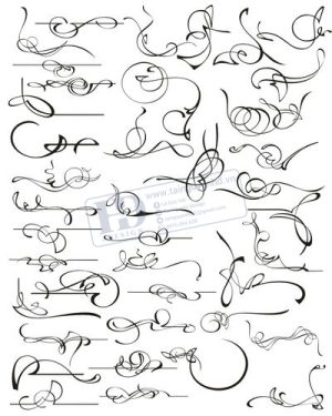 Vector Khung Viền Hoa Văn, Hoa Góc, Đường Viền (81)