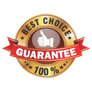 Vector Logo, Huy Hiệu (135)