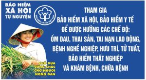 Vector Pano Bảo Hiểm Xã Hội 2