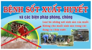Vector Pano Sốt Xuất huyết 1