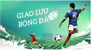 Vector Phông Nền Bóng Đá 8