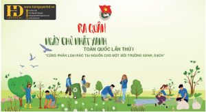 Vector Phông Nền Chủ Nhật Xanh