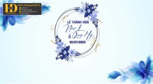 Vector Phông Nền Đám Cưới  16