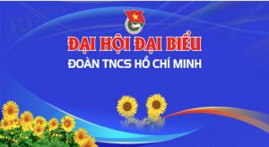 Vector Phông Nền Đoàn TNCS 1