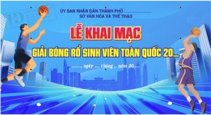 Vector Phông Nền Giải Bóng Rổ