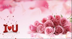 Vector Phông Nền Hoa Hồng