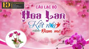Vector Phông Nền Hội Hoa Lan