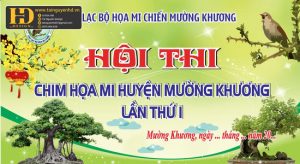 Vector Phông Nền Hội Thi Chim Chào Mào 1