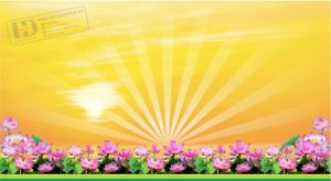 Vector Phông Nền Trang Trí Hội Nghị 2