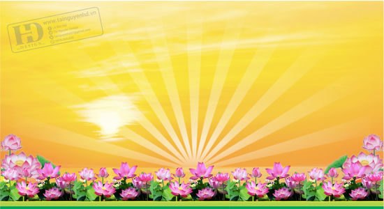 Vector Phông Nền Trang Trí Hội Nghị 2