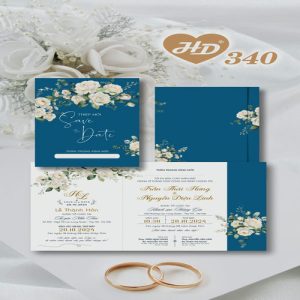 Vector Thiệp Cưới HD, Phôi Thiệp Cưới  (112)