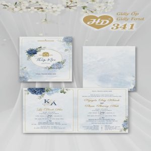 Vector Thiệp Cưới HD, Phôi Thiệp Cưới  (113)