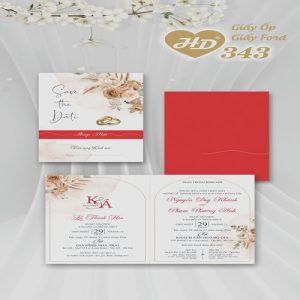 Vector Thiệp Cưới HD, Phôi Thiệp Cưới  (115)