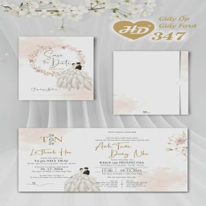 Vector Thiệp Cưới HD, Phôi Thiệp Cưới  (119)