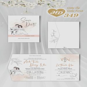 Vector Thiệp Cưới HD, Phôi Thiệp Cưới  (121)