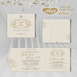 Vector Thiệp Cưới HD, Phôi Thiệp Cưới  (122)