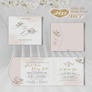 Vector Thiệp Cưới HD, Phôi Thiệp Cưới  (139)