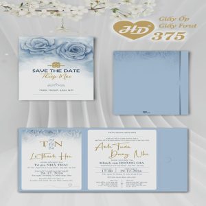 Vector Thiệp Cưới HD, Phôi Thiệp Cưới  (149)