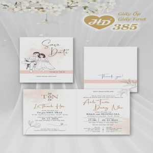 Vector Thiệp Cưới HD, Phôi Thiệp Cưới  (159)