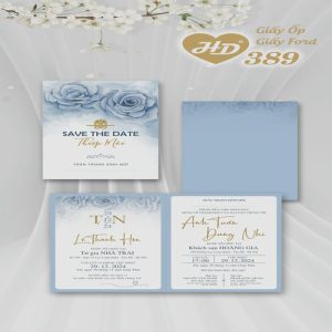 Vector Thiệp Cưới HD, Phôi Thiệp Cưới  (163)