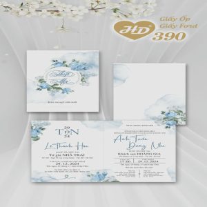 Vector Thiệp Cưới HD, Phôi Thiệp Cưới  (164)