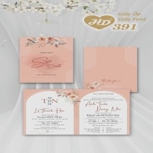 Vector Thiệp Cưới HD, Phôi Thiệp Cưới  (165)