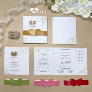 Vector Thiệp Cưới HD, Phôi Thiệp Cưới  (185)