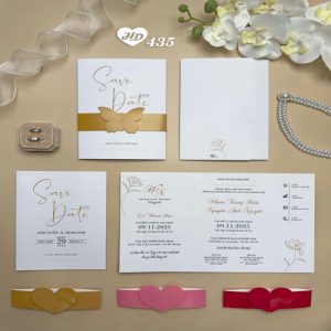 Vector Thiệp Cưới HD, Phôi Thiệp Cưới  (205)