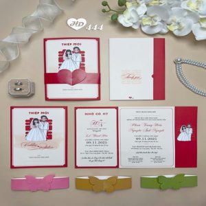 Vector Thiệp Cưới HD, Phôi Thiệp Cưới  (214)