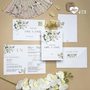 Vector Thiệp Cưới HD, Phôi Thiệp Cưới  (245)