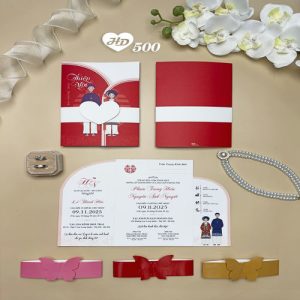 Vector Thiệp Cưới HD, Phôi Thiệp Cưới  (270)