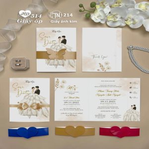 Vector Thiệp Cưới HD, Phôi Thiệp Cưới  (283)