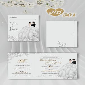 Vector Thiệp Cưới HD, Phôi Thiệp Cưới  (73)